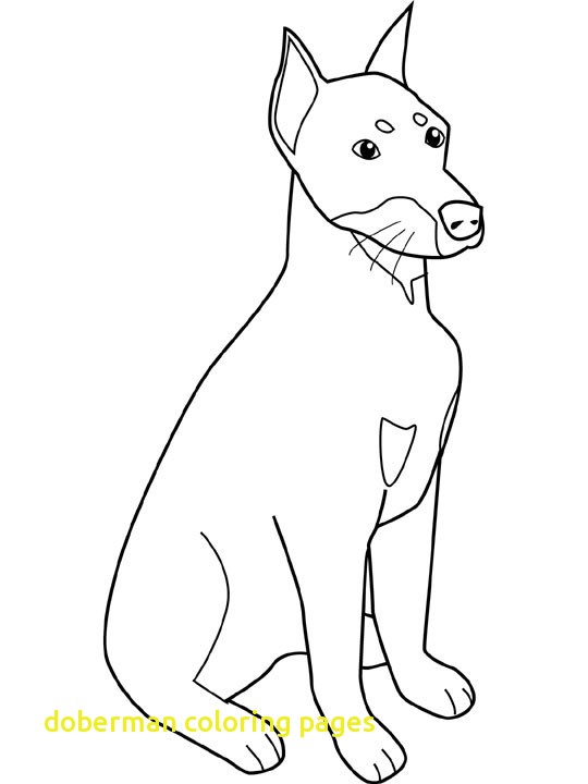 540x720 Doberman Coloring Pages