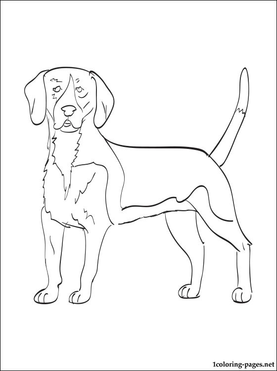 560x750 Free Coloring Pages Of How To Draw A Doberman Luxury Doberman