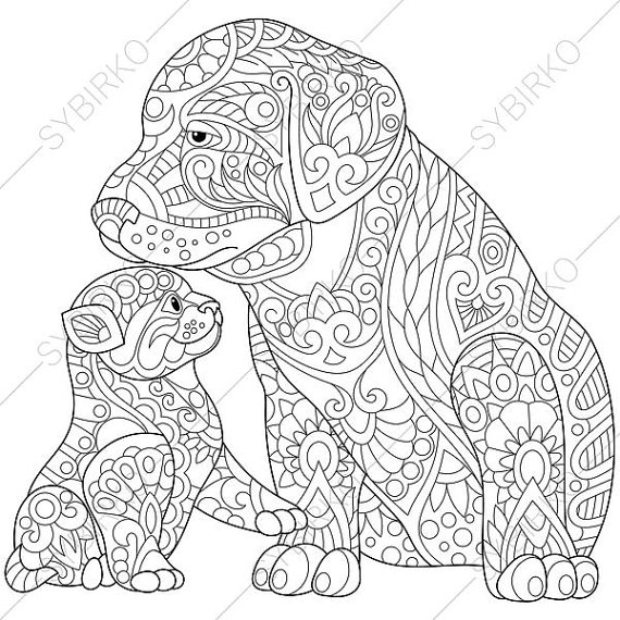 570x570 Labrador Puppy And Kitten. Coloring Page For Friendship Day