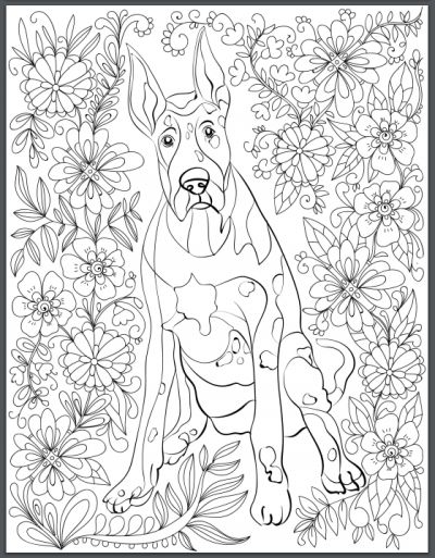 400x513 Outstanding Doberman Coloring Pages Ensign