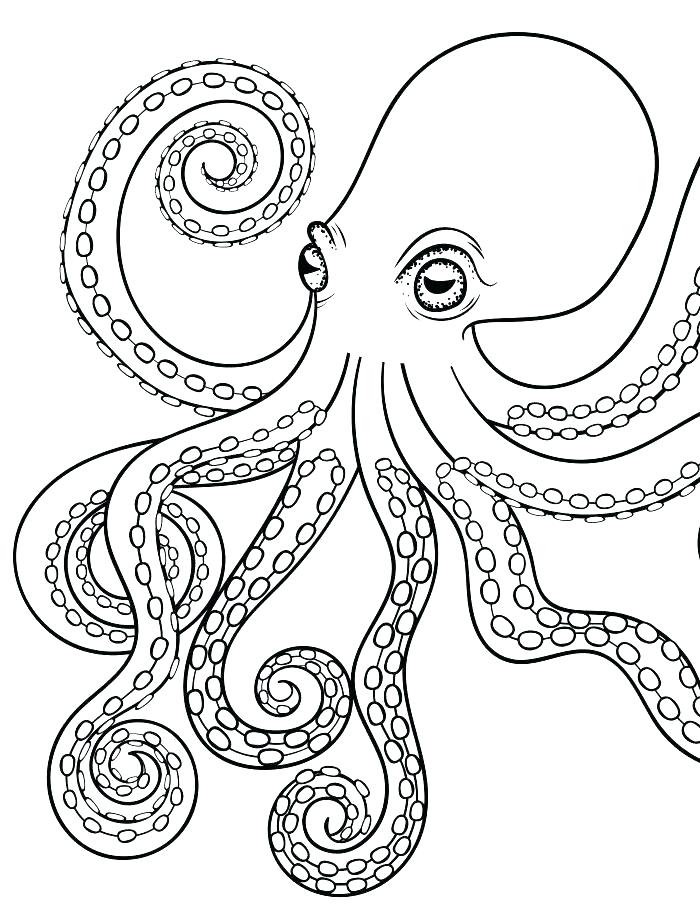 700x924 Octopus Coloring Pictures Octopus Color Page Octopus Color Page