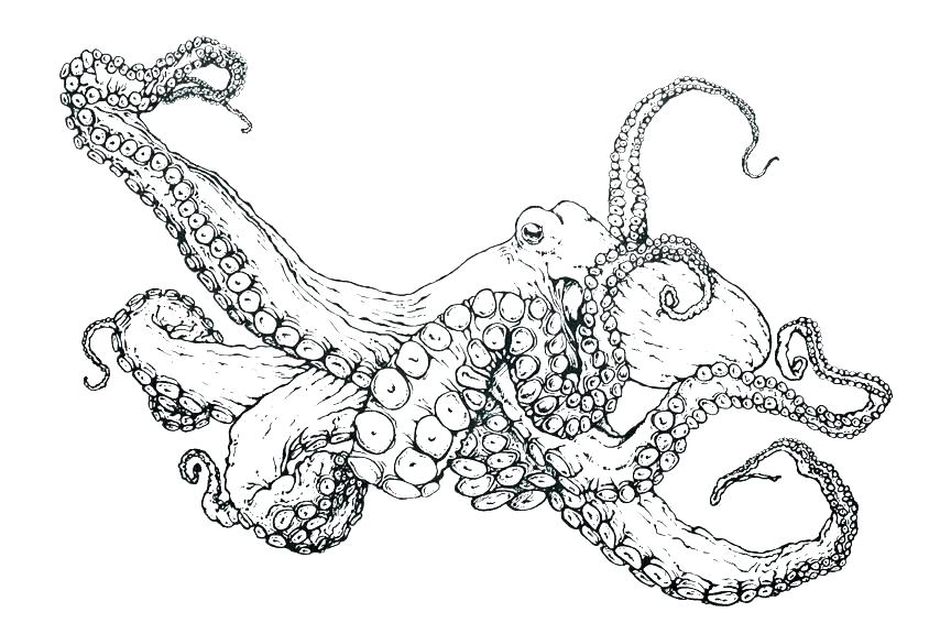 864x576 Doctor Octopus Coloring Pages Coloring Pages For Kids Dr Pus Color