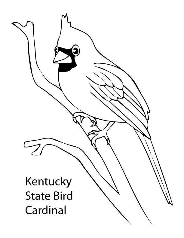 612x792 Cardinal Coloring Pages Preschool Kids