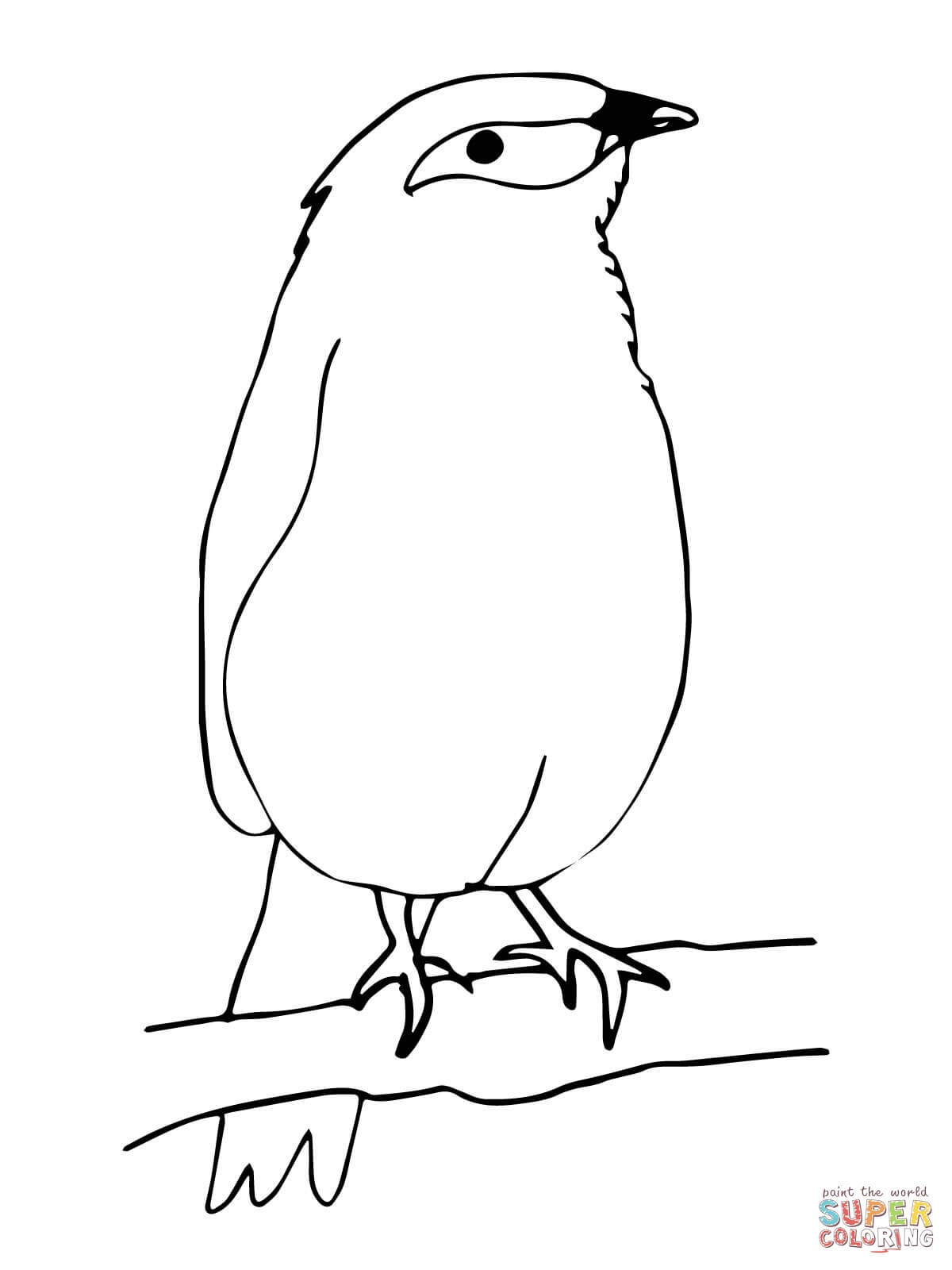 1200x1600 Dodo Animal Coloring Pages Unique Mynah Bird Coloring Page Free