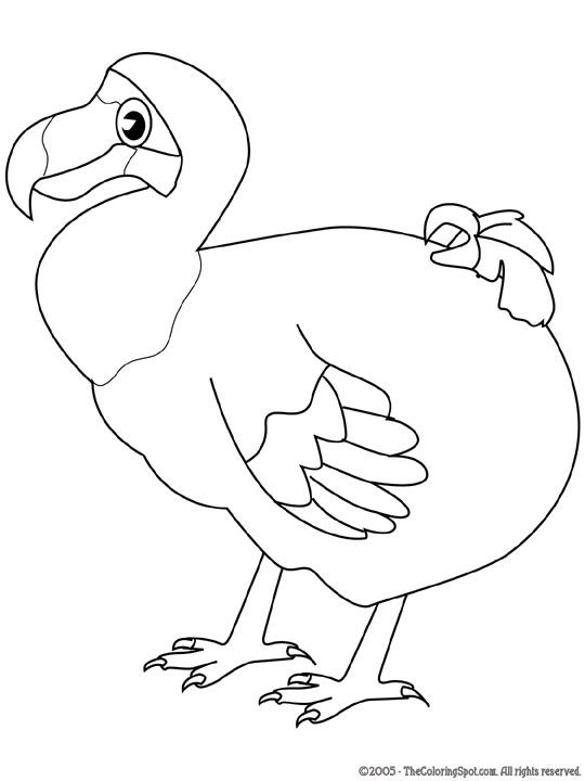 540x720 Dodo Outline A And K Outlines