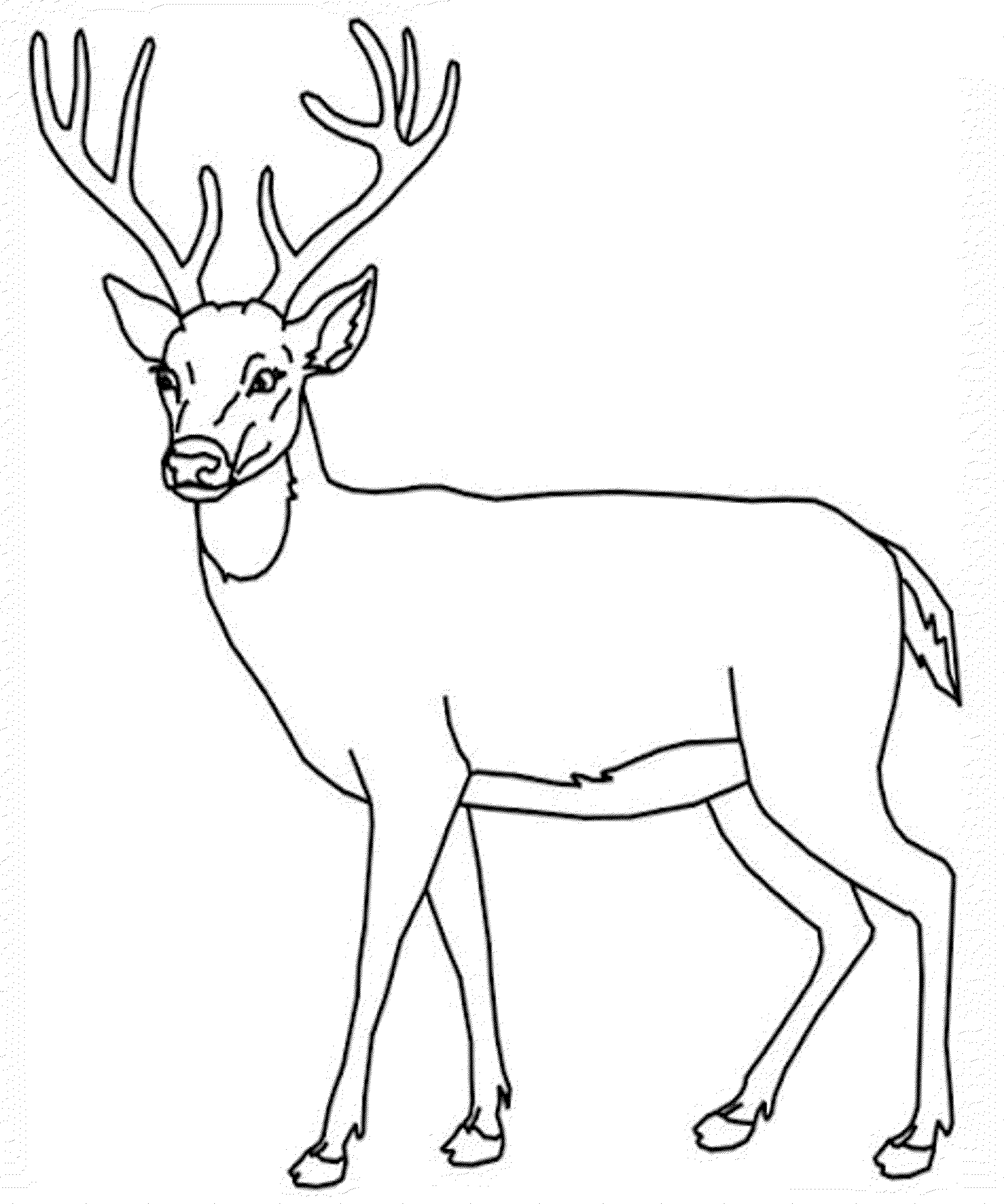 2000x2397 Doe Coloring Pages Download Free Coloring Sheets