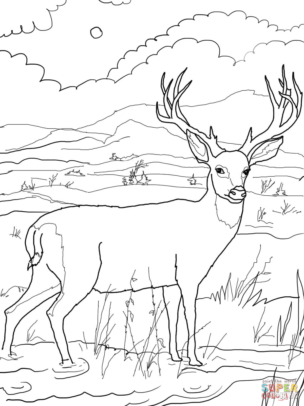 1200x1600 Last Chance Deer Coloring Sheet Mule Pages Free