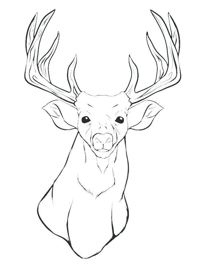 680x911 Mushroom Coloring Pages Three Small Mushrooms Coloring Page