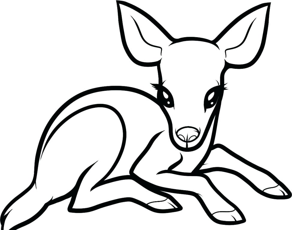 975x768 Red Deer Coloring Pages Download And Print For Free Red Deer