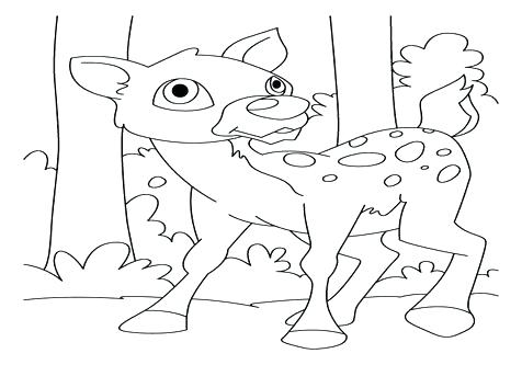476x333 White Tailed Deer Coloring Page White Tailed Deer Coloring Page