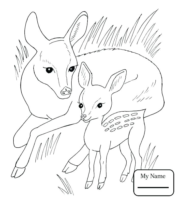 700x786 Browning Coloring Pages Deer Hunting Coloring Pages Browning Buck