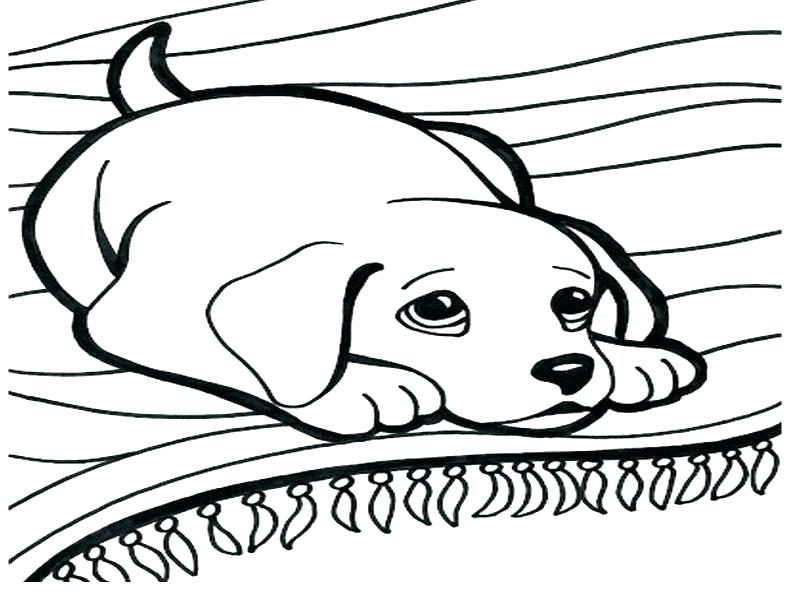 Dog And Cat Coloring Pages Printable