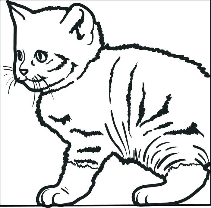 700x688 Free Printable Pete The Cat Coloring Sheets Cute Kitty Coloring