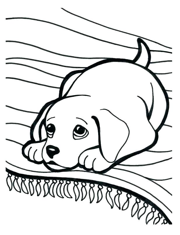618x806 Dogs Coloring Pages Puppy Coloring Pages For Free Free Printable