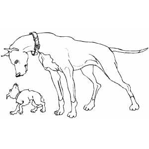300x300 Dog And Puppy Coloring Page