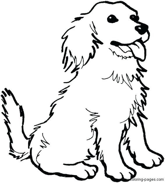 567x629 Coloring Pages Dogs Birthday Dog Coloring Pages Image Coloring