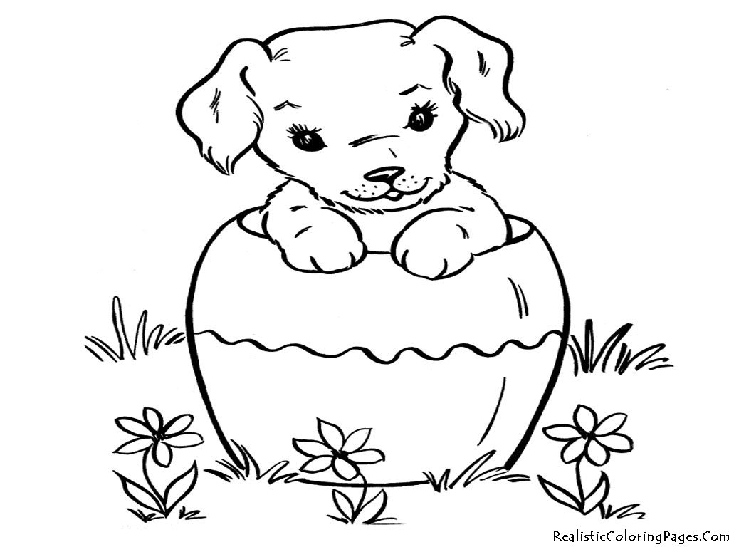 1024x768 Endorsed Pictures Of Cats And Dogs To Color Ca
