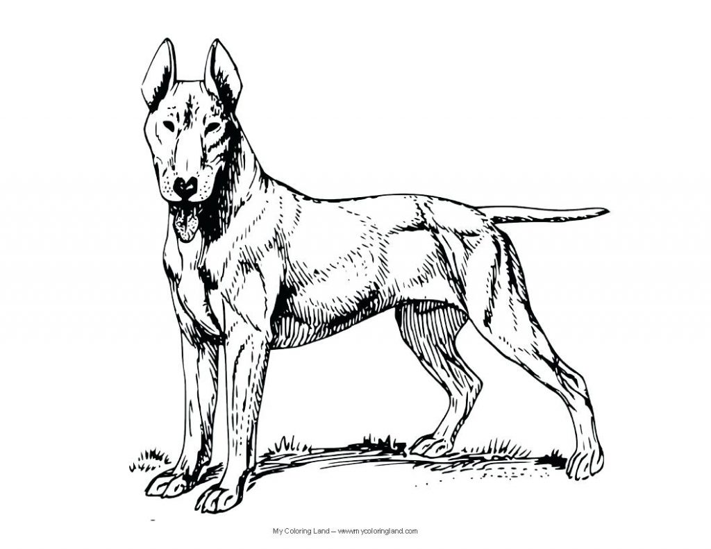 1024x791 Coloring Page ~ Coloring Pages Dog Realistic For Children Tone