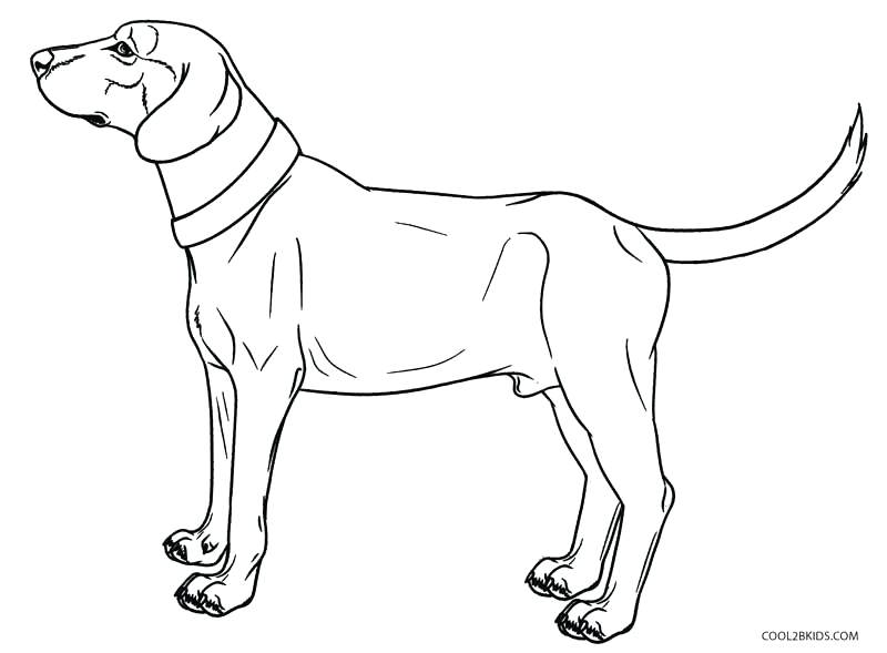 800x589 Coloring Page Of Dog Dachshund Dog Coloring Page Free Dog Bone