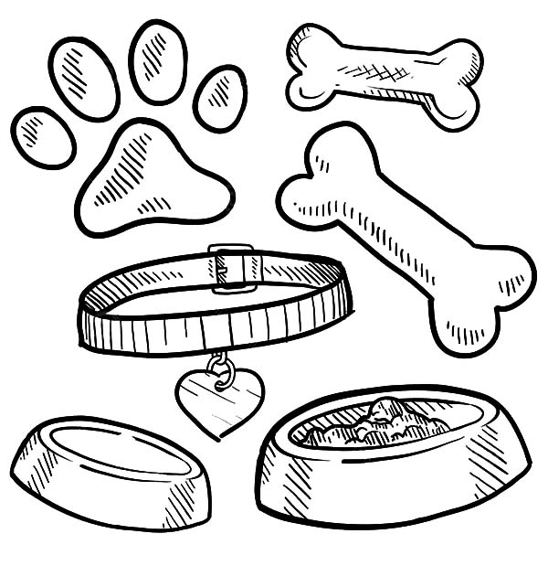 600x642 13 Images Of Dog Food Bowl Coloring Page