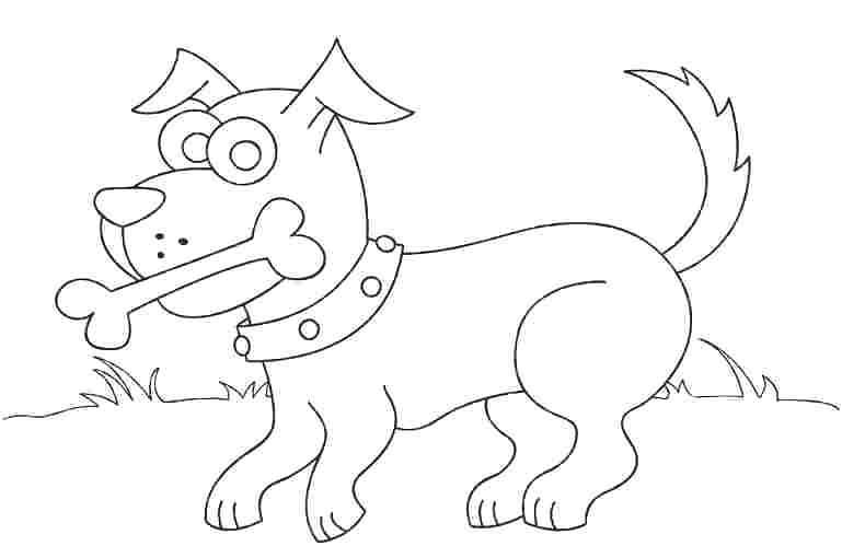769x499 Anatomy Bone Coloring Pages Bone Coloring Page Dog Bone Coloring