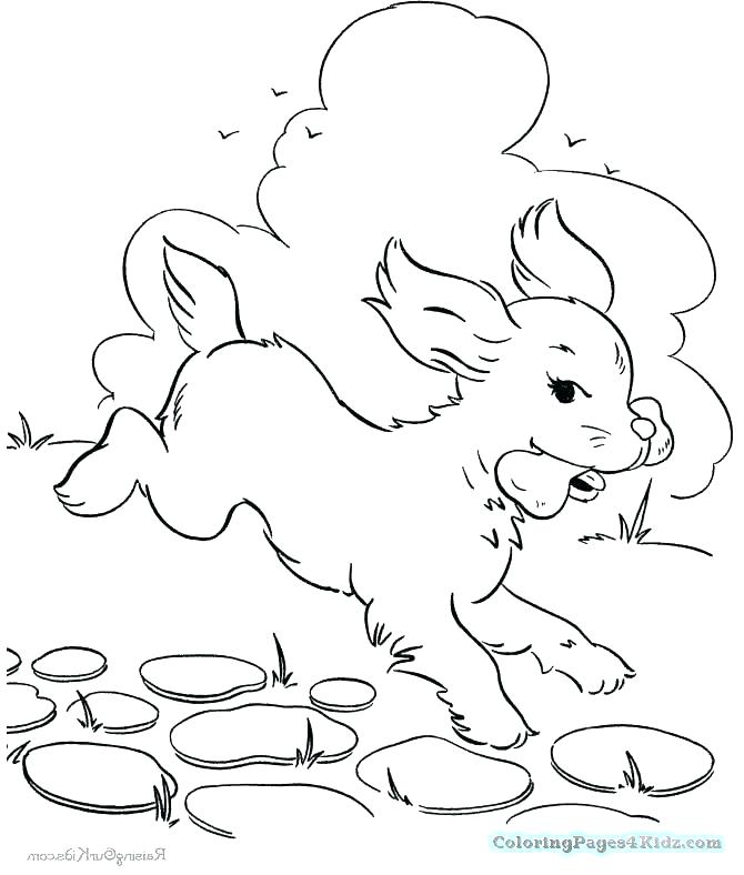 670x788 Dog Bone Coloring Page Dog Bone Coloring Page Dog Bone And Dog