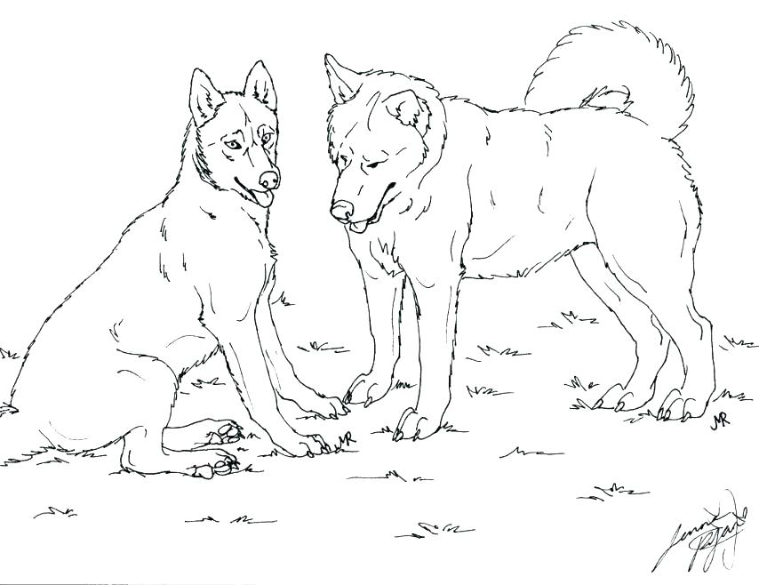 854x658 Dog Breed Coloring Pages Dog Breed Coloring Pages Coloring Book