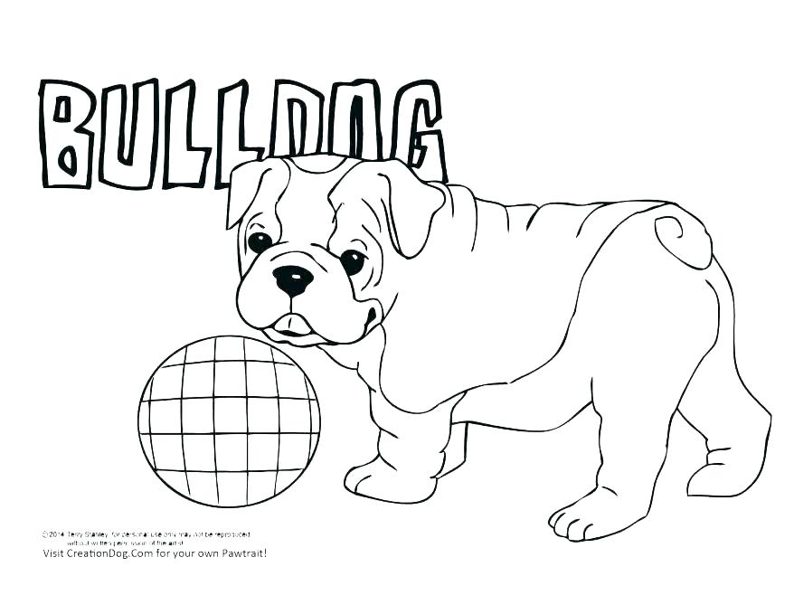 878x679 Dog Breed Coloring Pages Free Dogs Of And Printable Bo