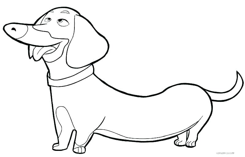 800x512 Dog Coloring Sheets Printable S Dog Breed Coloring Pages Printable