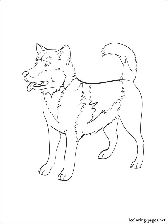 560x750 Greenland Dog Coloring Page Coloring Pages