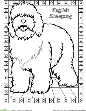 301x387 Color And Learn Dog Breed Coloring Pages