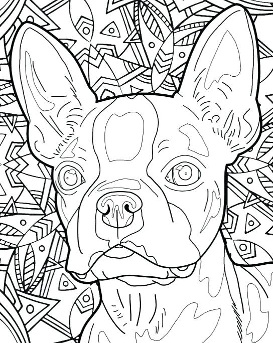 544x684 Coloring Book Pages Dog Breeds
