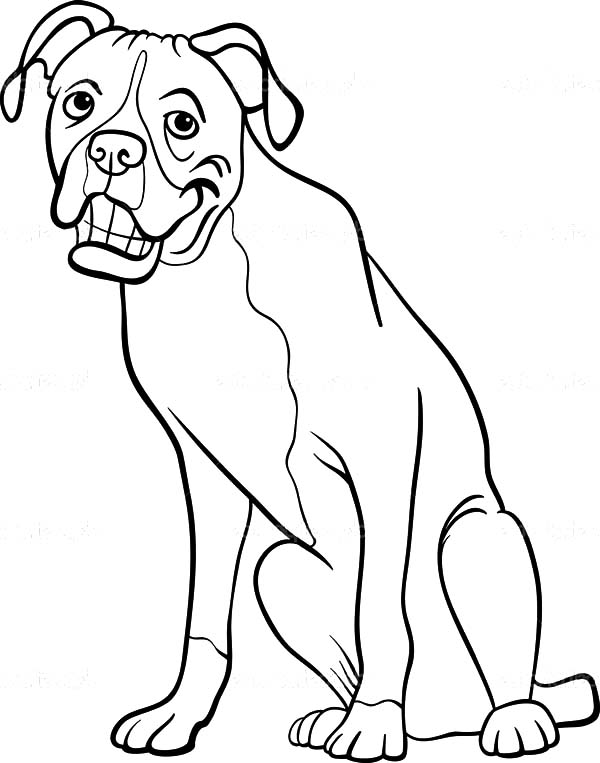 600x763 Boxer Dog Cartoon For Coloring Book Happy Colouring Boxer Dog