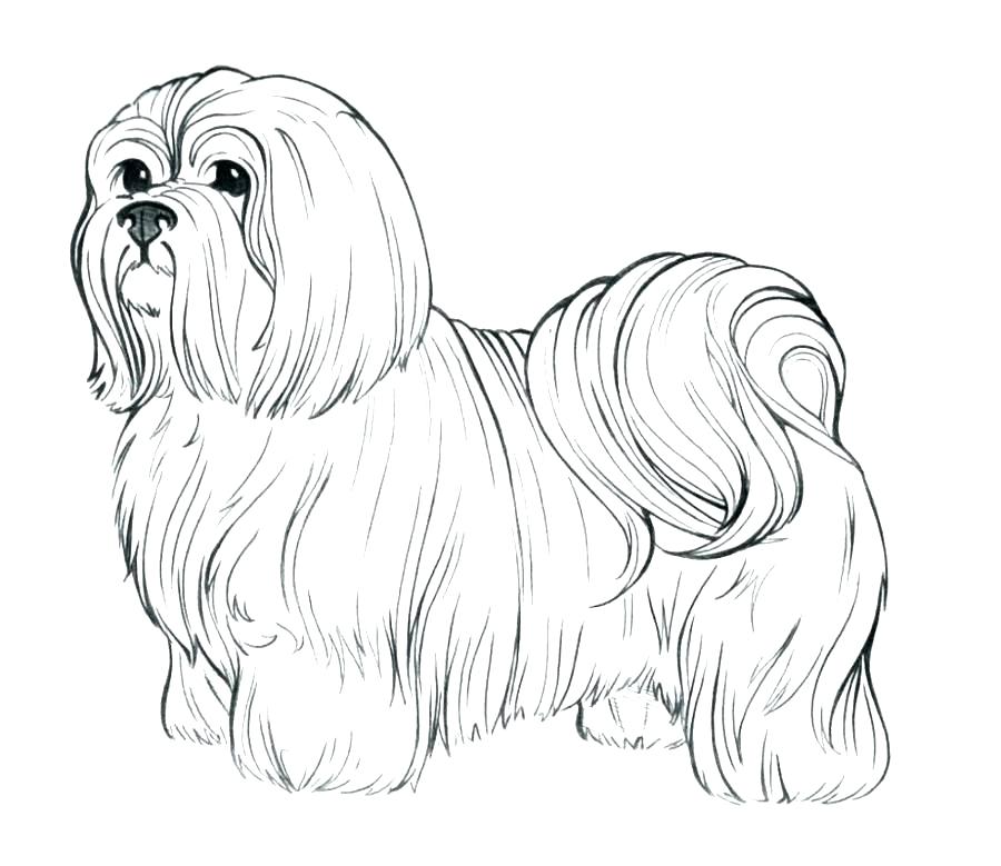 900x779 Dog Color Page
