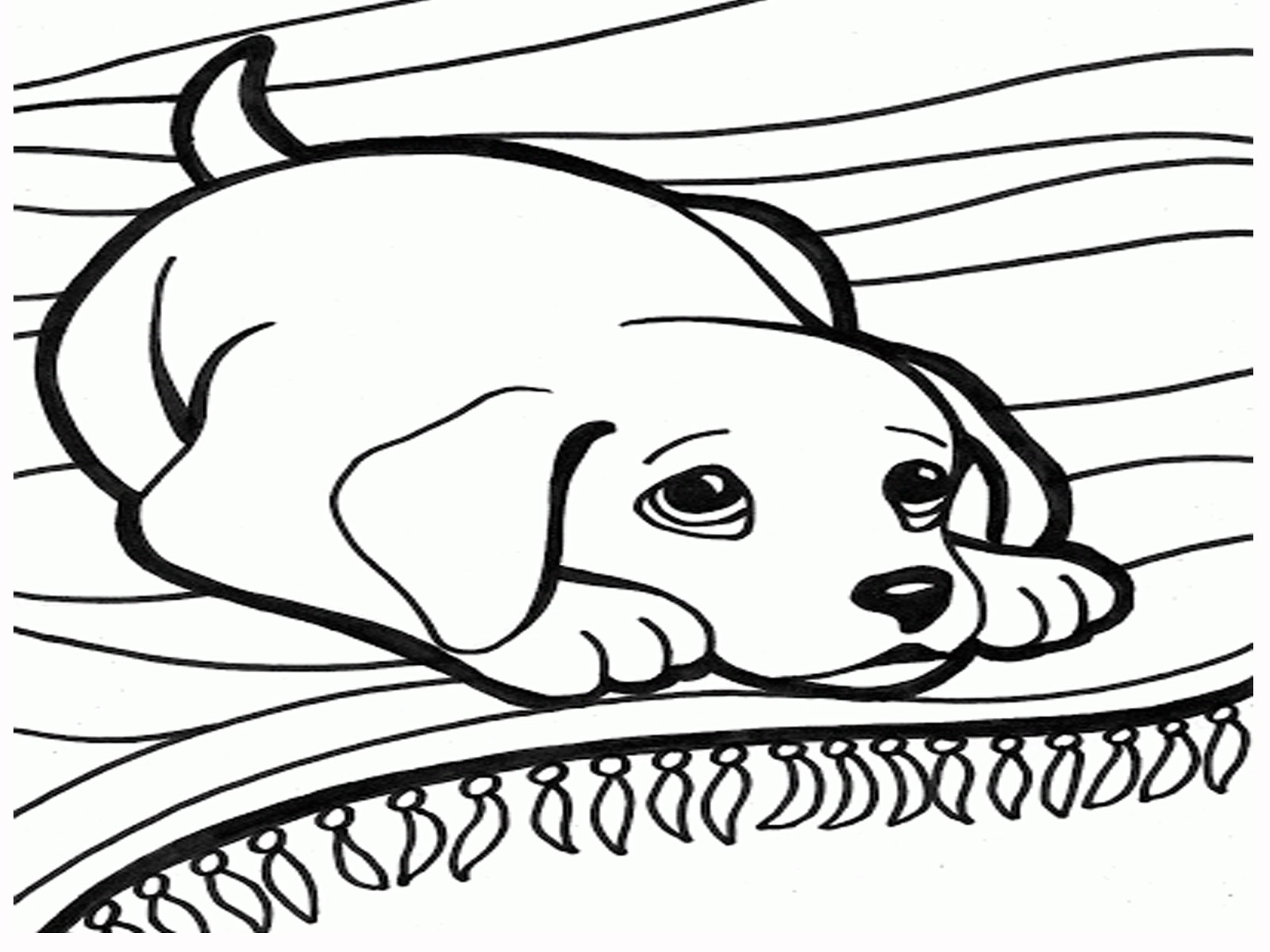 1600x1200 Direct Pictures Of Dogs To Colour Coloring Pages