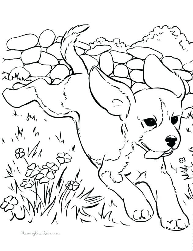 631x820 Dog Coloring Pages Dog Coloring Pages For Adults Packed With Free