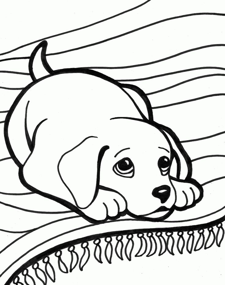 Dog Coloring Pages For Kids