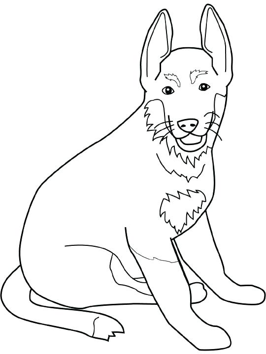 540x720 Coloring Pages Of Dogs Border Collie Coloring Pages Dog Color