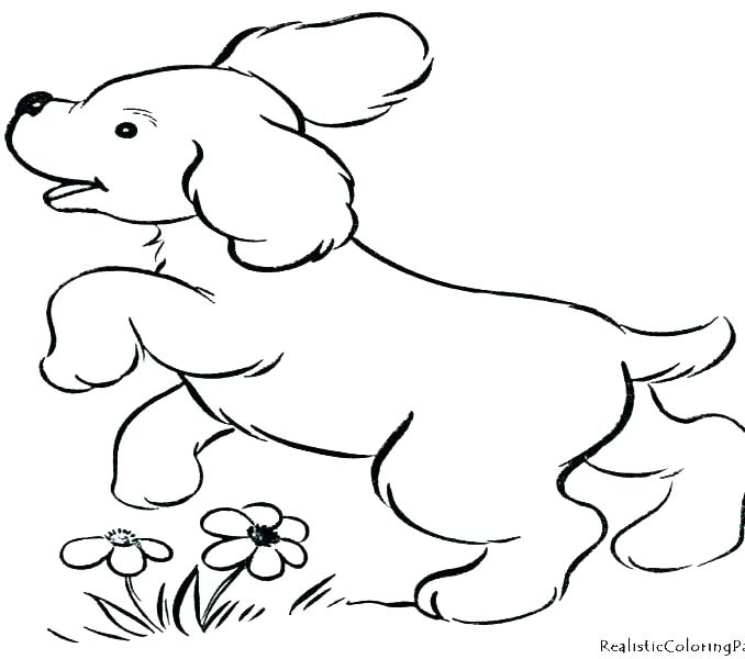 678x600 Dalmatian Puppies Coloring Pages Picture Of Dog To Color Dogs