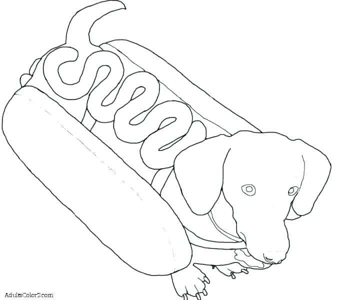 678x600 Dog Coloring Page Pet Coloring Pages For Kids Dog Coloring Pages