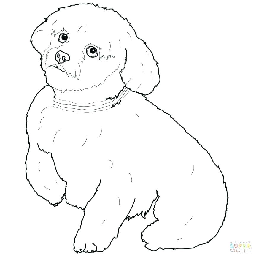 863x869 Dog Mask Coloring Page Cow Mask Free Coloring Pages Online Dog