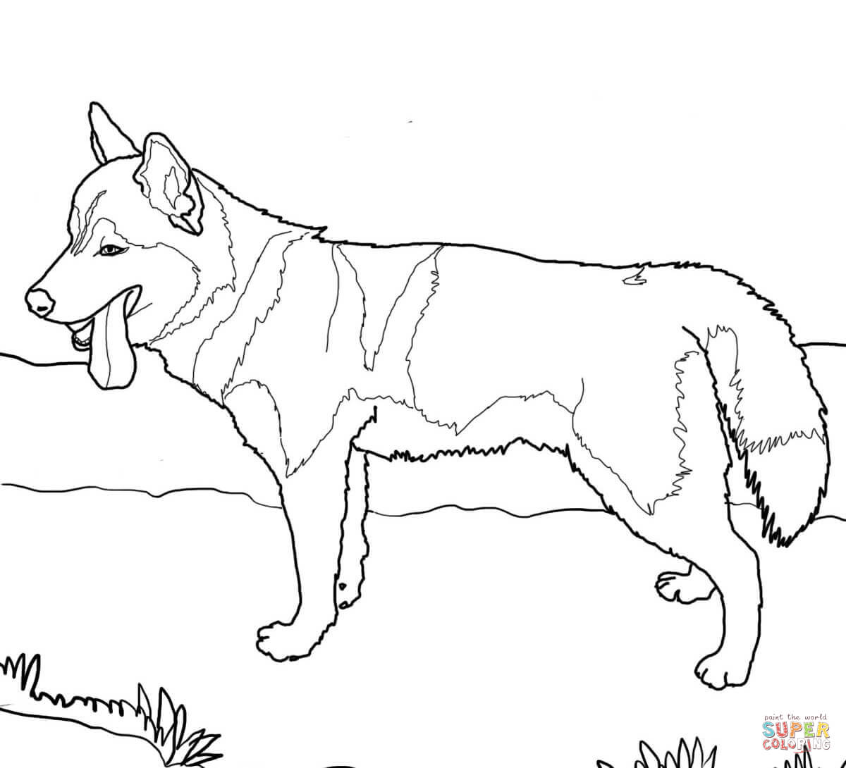 1200x1090 Siberian Husky Dog Coloring Page In Dog Coloring Page On With Hd