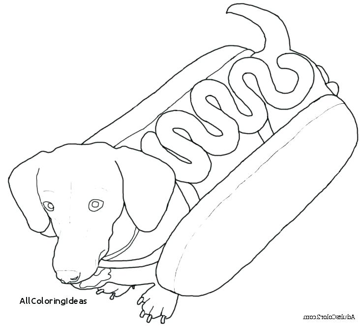 732x663 Dachshund Coloring Pages Dachshund Coloring Pages Plus Dachshund