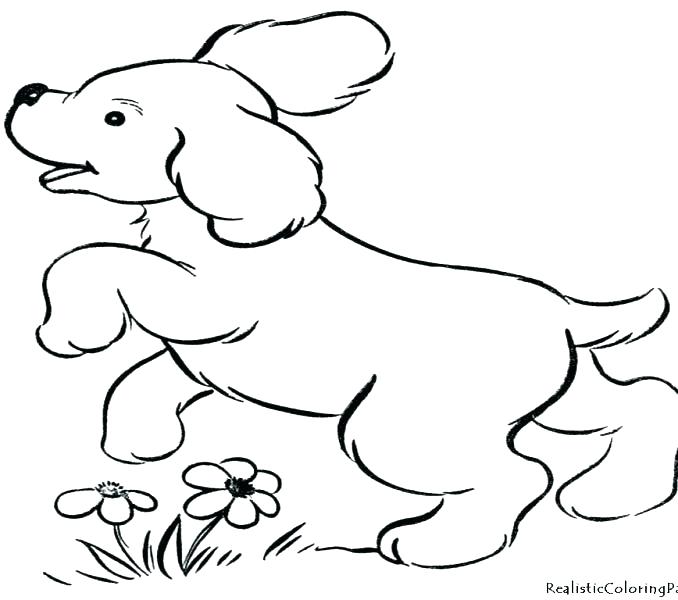 678x600 Husky Coloring Pages Husky Coloring Pages Husky Coloring Pages