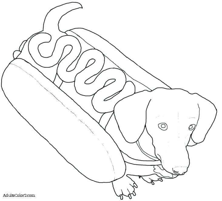 732x663 Realistic Dog Coloring Pages Printable Dog Pictures To Color