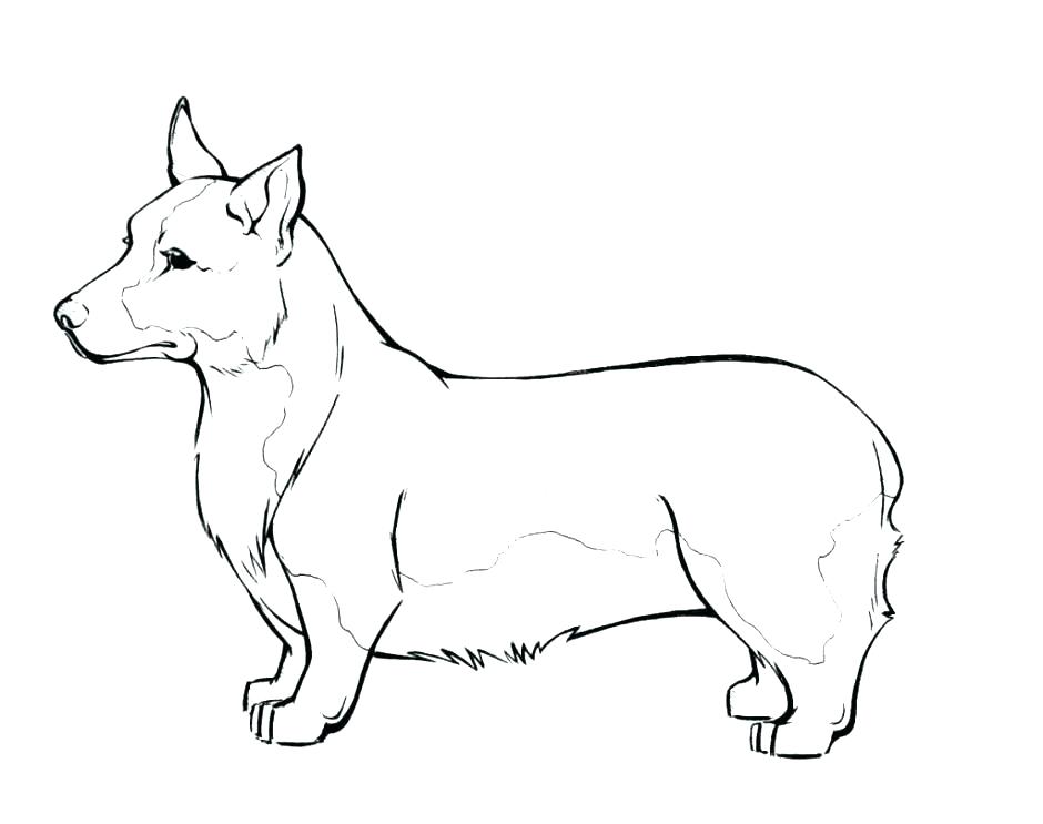 940x743 Dog Coloring Pages Dog Coloring Pages Beagle Coloring Dog Coloring