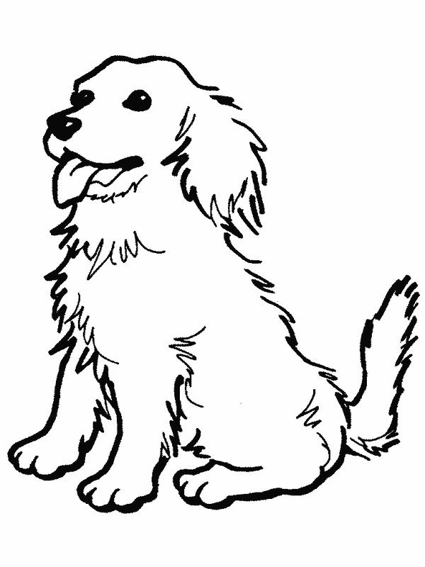 600x800 Intricate Dog Coloring Pages 2017 Dr Odd Page To Print