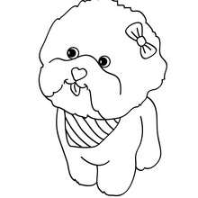 220x220 Puppy Coloring Pages, Reading Amp Learning, Free Online Games