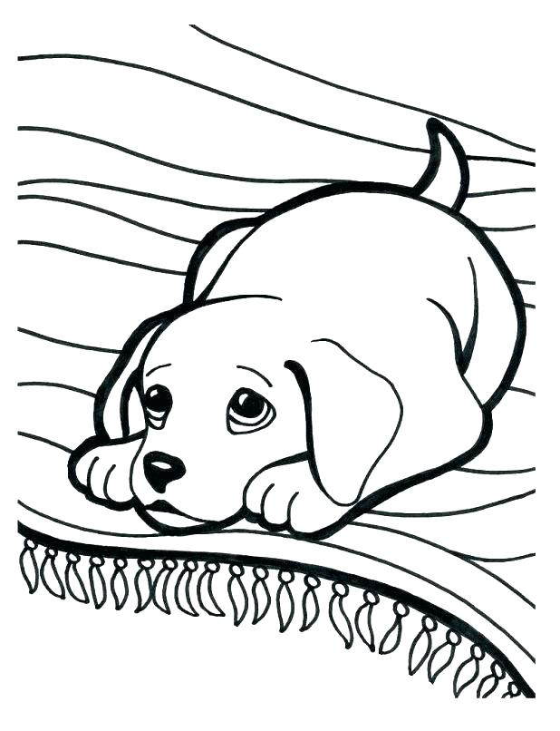 618x806 Puppy Color Pages Best Free Printable Puppy Ring Pages Image Pound
