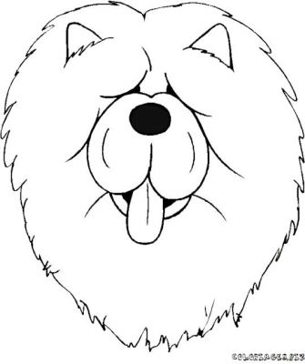 335x400 Coloring Pages For Kids To Print